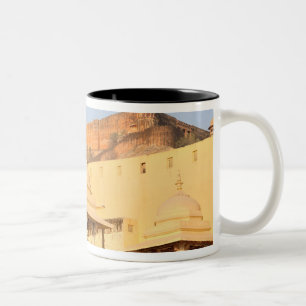 Asien, Indien, Rajasthan, Amber Amer). Die Zweifarbige Tasse