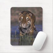 ASIEN, Indien Tiger durch das Wasser Mousepad (Mit Mouse)