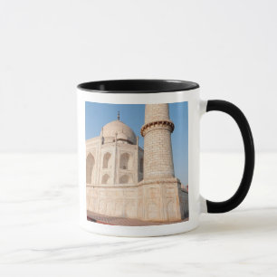 Asien, Indien, Uttar Pradesh, Agra. Der Taj 4 Tasse