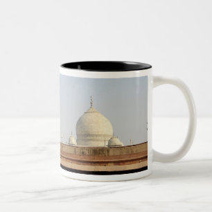 Asien, Indien, Uttar Pradesh, Agra. Der Taj 6 Zweifarbige Tasse