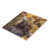 Asien, Japan, Buddha Fliese (Seite)