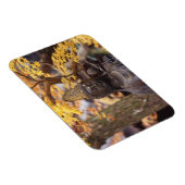 Asien, Japan, Buddha Magnet (Rechte Seite)