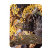 Asien, Japan, Buddha Magnet (Vertikal)