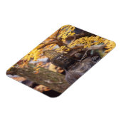 Asien, Japan, Buddha Magnet (Linke Seite)