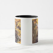 Asien, Japan, Buddha Tasse (Zentrum)