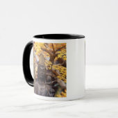 Asien, Japan, Buddha Tasse (Vorderseite Links)