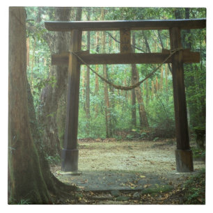 Asien, Japan, Kagoshima, Yakushima, Berg Fliese