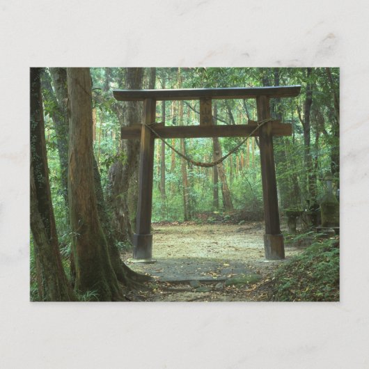 Asien, Japan, Kagoshima, Yakushima, Berg Postkarte (Vorderseite)