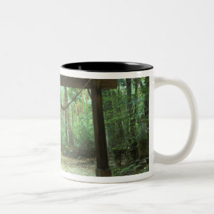 Asien, Japan, Kagoshima, Yakushima, Gebirge Zweifarbige Tasse