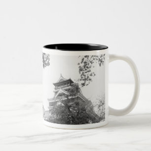 Asien, Japan, Kumamoto. Kumamoto, jo Burg Zweifarbige Tasse
