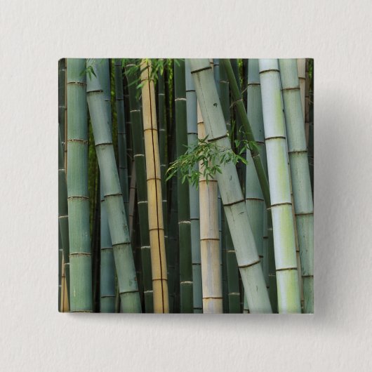 Asien, Japan, Kyoto, Arashiyama, Sagano, Bamboo Button (Vorderseite)