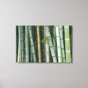 Asien, Japan, Kyoto, Arashiyama, Sagano, Bamboo Leinwanddruck