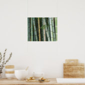 Asien, Japan, Kyoto, Arashiyama, Sagano, Bamboo Poster (Küche)