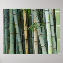 Asien, Japan, Kyoto, Arashiyama, Sagano, Bamboo Poster