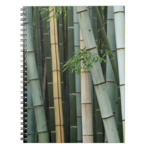 Asien, Japan, Kyoto, Arashiyama, Sagano, Bambus Notizblock