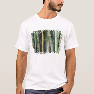 Asien, Japan, Kyoto, Arashiyama, Sagano, Bambus T-Shirt