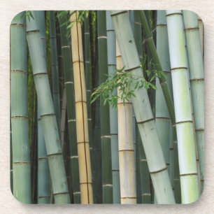 Asien, Japan, Kyoto, Arashiyama, Sagano, Bambus Untersetzer