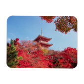 Asien, Japan, Kyoto. Farbe des Herbstes Magnet (Horizontal)