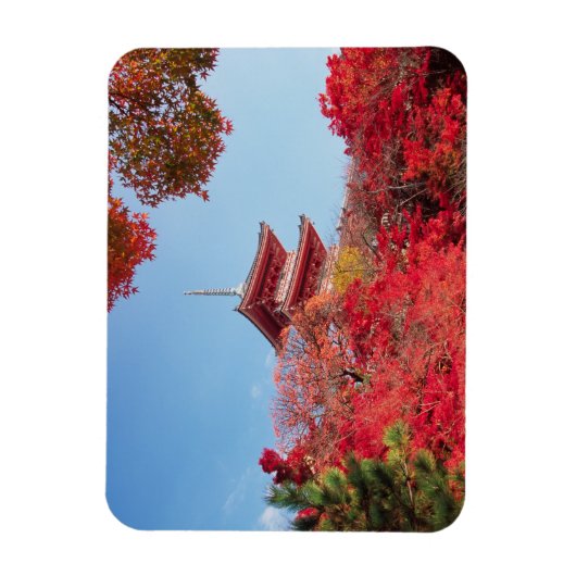 Asien, Japan, Kyoto. Farbe des Herbstes Magnet (Vertikal)