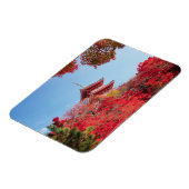 Asien, Japan, Kyoto. Farbe des Herbstes Magnet (Linke Seite)