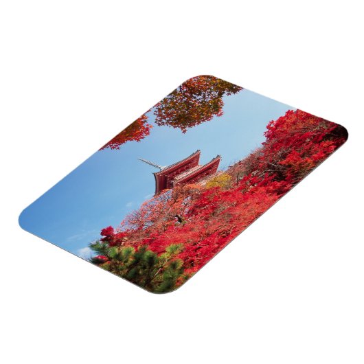 Asien, Japan, Kyoto. Farbe des Herbstes Magnet (Linke Seite)