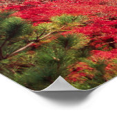 Asien, Japan, Kyoto. Farbe des Herbstes Poster (Ecke)