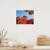 Asien, Japan, Kyoto. Farbe des Herbstes Poster (Küche)