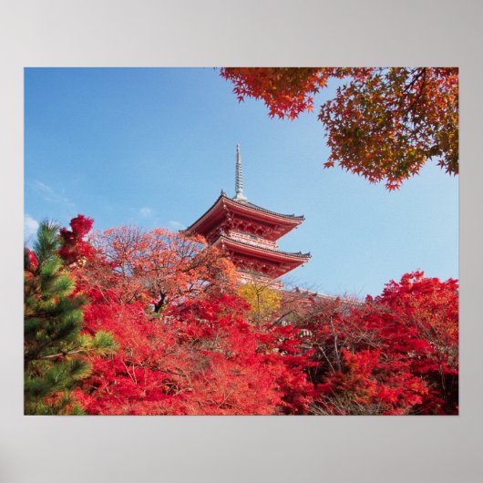 Asien, Japan, Kyoto. Farbe des Herbstes Poster (Vorne)