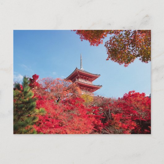 Asien, Japan, Kyoto. Farbe des Herbstes Postkarte (Vorderseite)