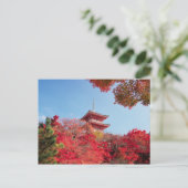 Asien, Japan, Kyoto. Farbe des Herbstes Postkarte (Stehend Vorderseite)