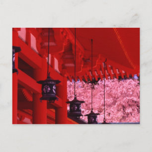 Asien, Japan, Kyoto, Heian-Schrein im Frühling. Postkarte