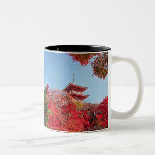 Asien, Japan, Kyoto. Herbstfarbe Zweifarbige Tasse