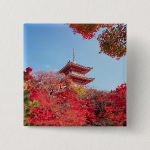 Asien, Japan, Kyoto. Herbstfarben Button
