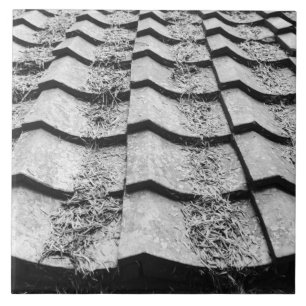 Asien, Japan, Miyajima. Dachziegel Fliese