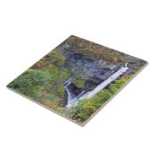 Asien, Japan, Nikko. Kegon Wasserfall von Nikko, e Fliese (Seite)