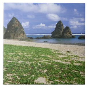 Asien, Japan, Okinawa, Yambaru-Küstenlinie, Meer Fliese