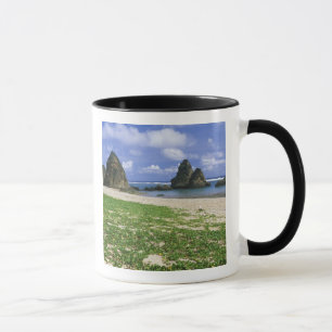 Asien, Japan, Okinawa, Yambaru-Küstenlinie, Meer Tasse