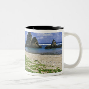 Asien, Japan, Okinawa, Yambaru-Küstenlinie, Meer Zweifarbige Tasse