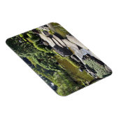 Asien, Japan, Tokio. Der japanische Garten im Magnet (Rechte Seite)