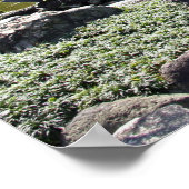 Asien, Japan, Tokio. Der japanische Garten im Poster (Ecke)