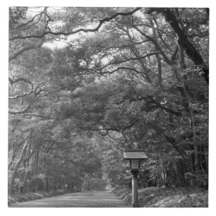 Asien, Japan, Tokio, Gelände des Meiji-Schreins, Fliese