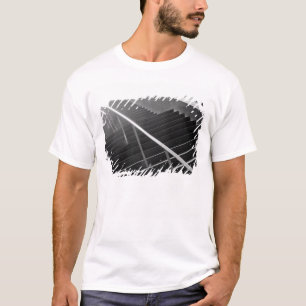 Asien, Japan, Tokio. Treppe, Tokio International 3 T-Shirt
