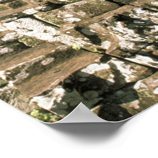 Asien, Kambodscha, Siem Reap. Angkor Thom, Leiter Poster (Ecke)