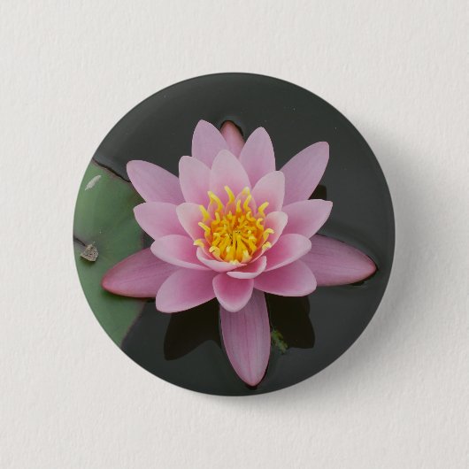 Asien-Lotos-Blume Button (Vorderseite)