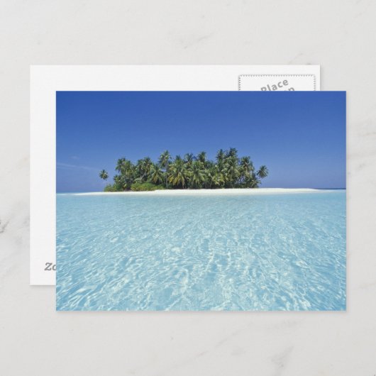 ASIEN, Malediven, Ari-Atoll, unbewohnt Postkarte (Vorne/Hinten)