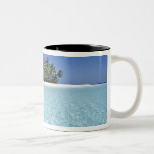 ASIEN, Malediven, Ari-Atoll, unbewohnt Zweifarbige Tasse
