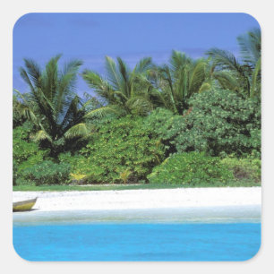 Asien, Malediven. Nord-Malé-Atoll Quadratischer Aufkleber