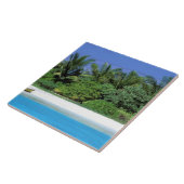 Asien, Malediven. Nordmännchen-Atoll Fliese (Seite)