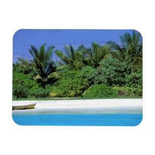 Asien, Malediven. Nordmännchen-Atoll Magnet