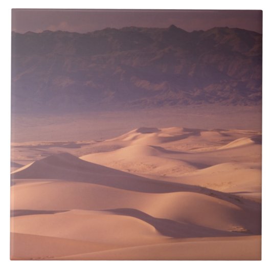 Asien, Mongolei, Gobi-Wüste, Gobi Gurvansaikhan Fliese (Vorderseite)